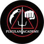 Pukulan Academy
