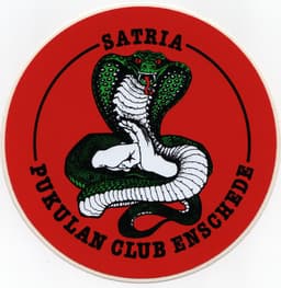 Pukulan Satria
